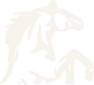 Вильбур